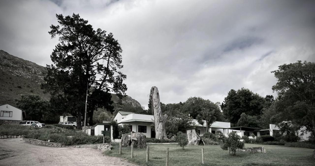 Villa The Volmoed Trust Hermanus Exterior foto