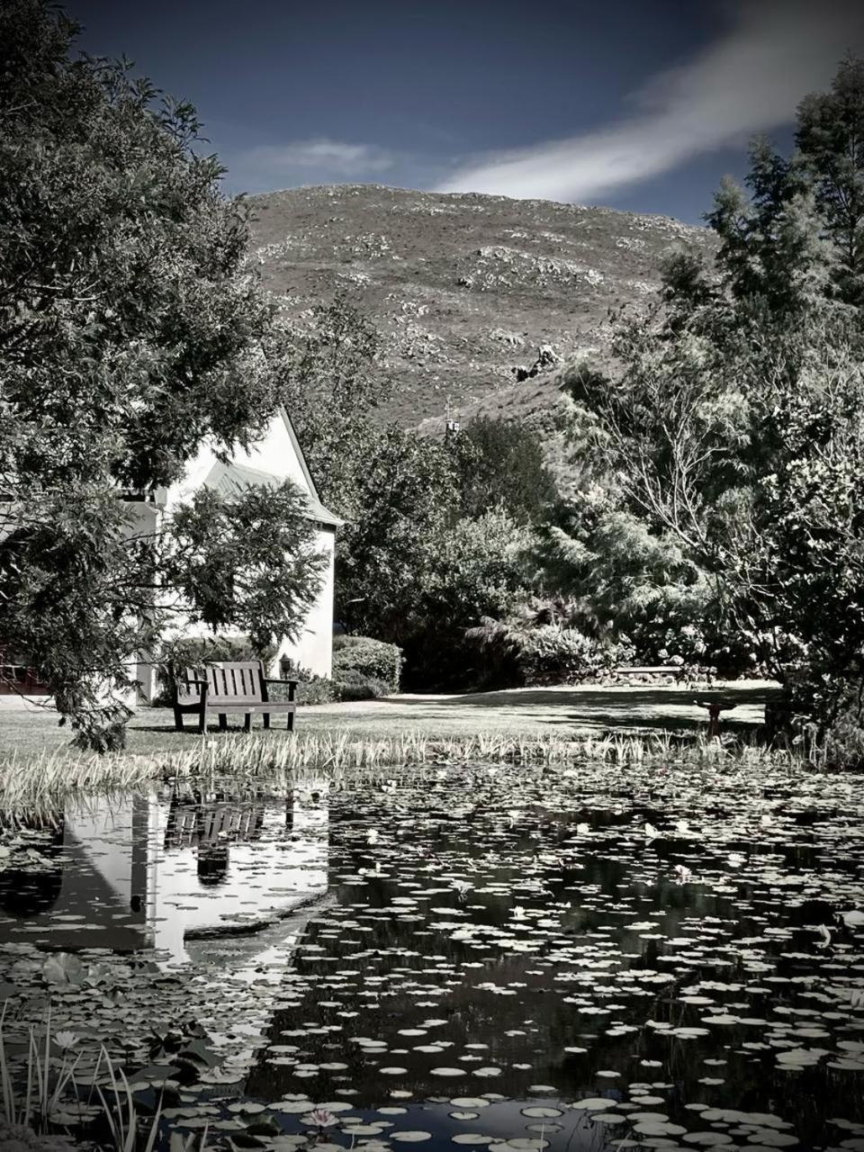 Villa The Volmoed Trust Hermanus Exterior foto