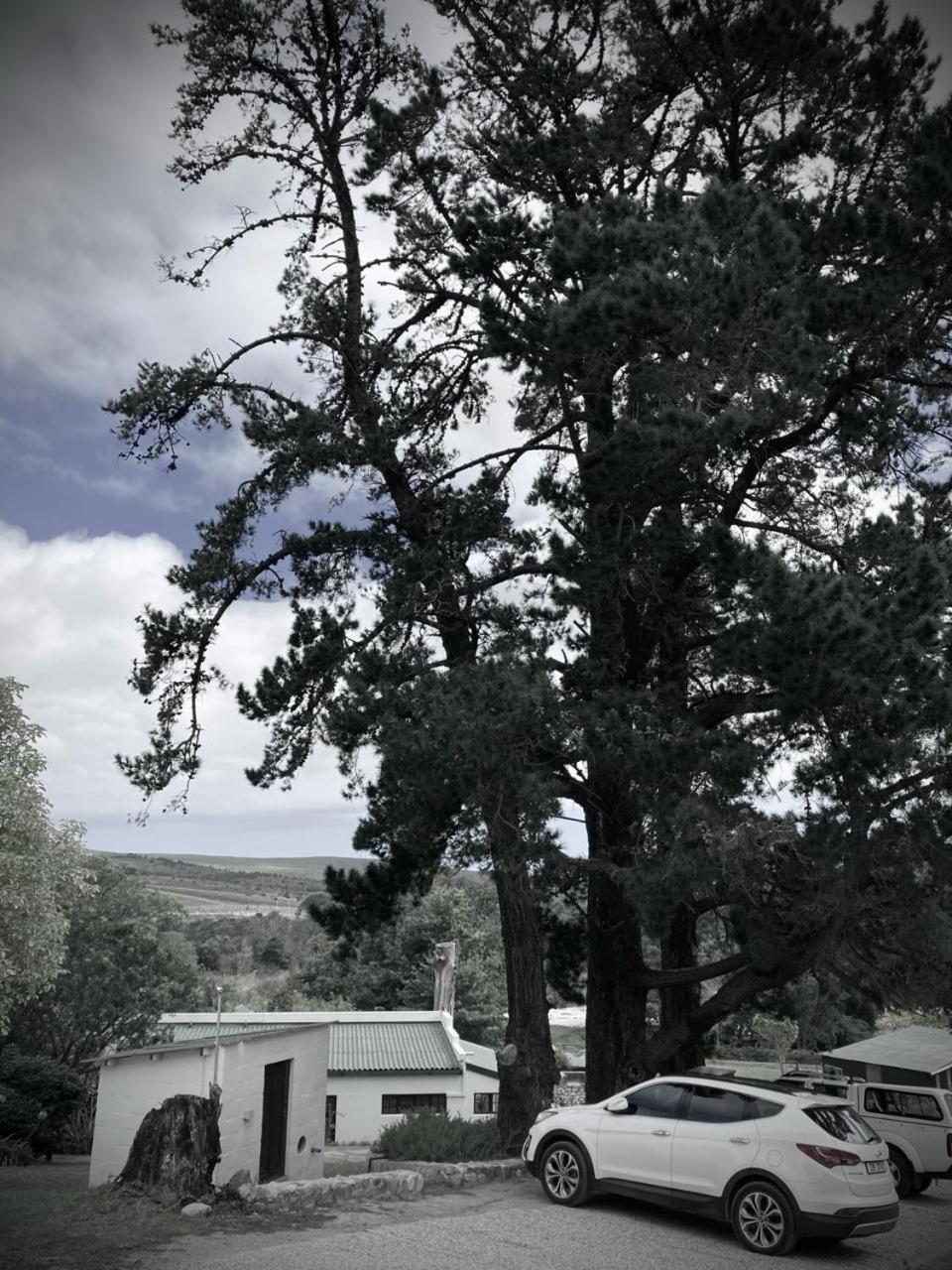 Villa The Volmoed Trust Hermanus Exterior foto