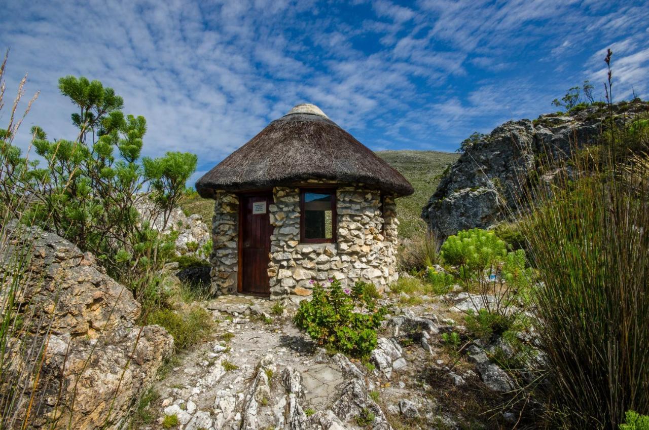 Villa The Volmoed Trust Hermanus Exterior foto
